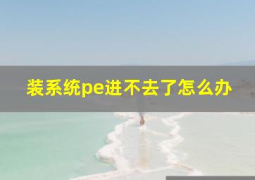 装系统pe进不去了怎么办