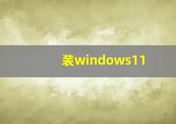 装windows11