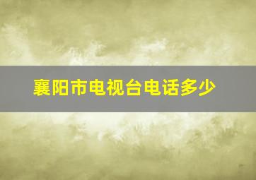 襄阳市电视台电话多少