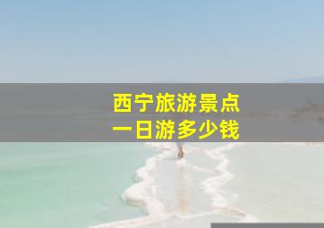 西宁旅游景点一日游多少钱