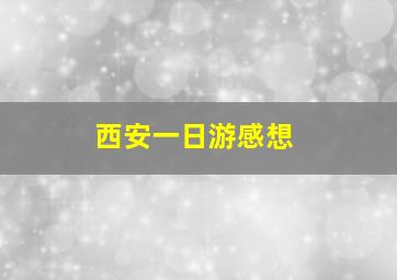 西安一日游感想