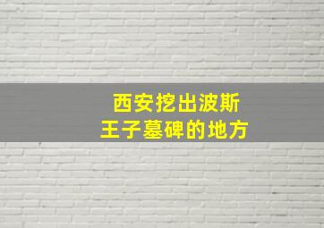 西安挖出波斯王子墓碑的地方