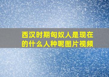 西汉时期匈奴人是现在的什么人种呢图片视频