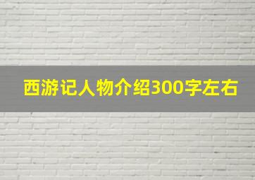 西游记人物介绍300字左右