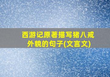 西游记原著描写猪八戒外貌的句子(文言文)