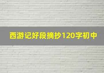 西游记好段摘抄120字初中