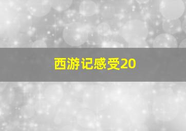 西游记感受20