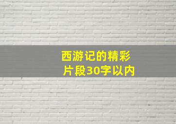 西游记的精彩片段30字以内