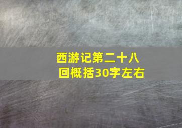 西游记第二十八回概括30字左右