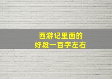 西游记里面的好段一百字左右