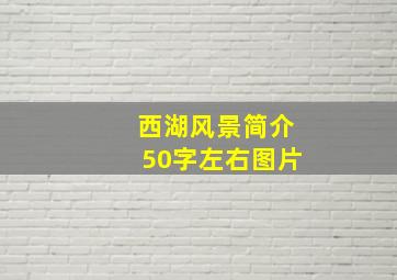 西湖风景简介50字左右图片