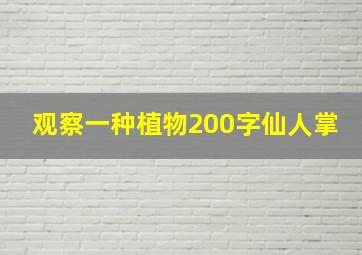 观察一种植物200字仙人掌