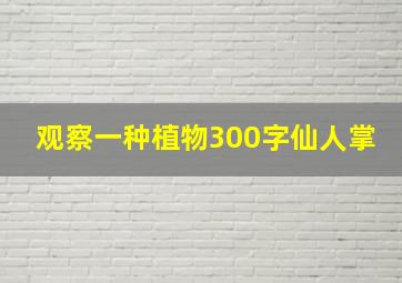 观察一种植物300字仙人掌