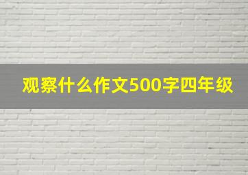 观察什么作文500字四年级