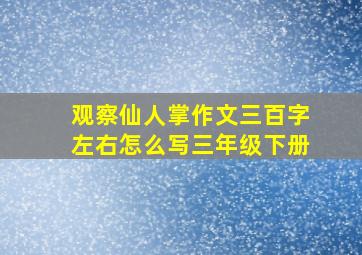 观察仙人掌作文三百字左右怎么写三年级下册