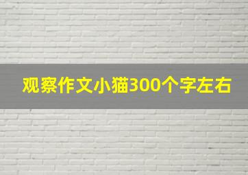 观察作文小猫300个字左右