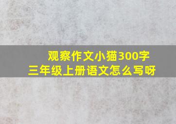 观察作文小猫300字三年级上册语文怎么写呀