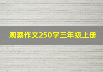 观察作文250字三年级上册