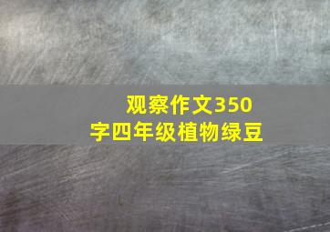 观察作文350字四年级植物绿豆