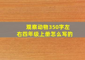 观察动物350字左右四年级上册怎么写的