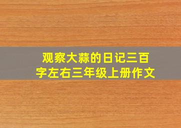 观察大蒜的日记三百字左右三年级上册作文