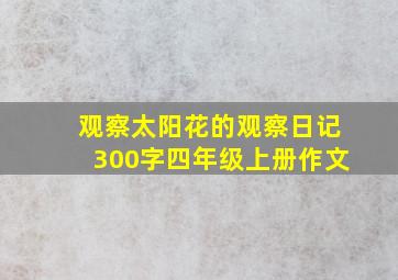 观察太阳花的观察日记300字四年级上册作文