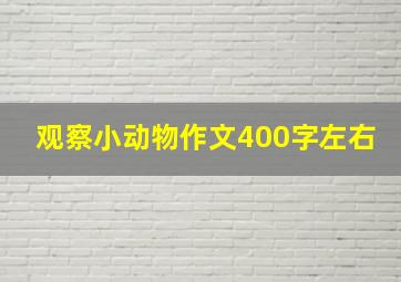 观察小动物作文400字左右