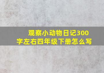 观察小动物日记300字左右四年级下册怎么写