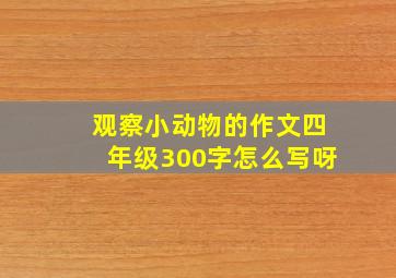 观察小动物的作文四年级300字怎么写呀