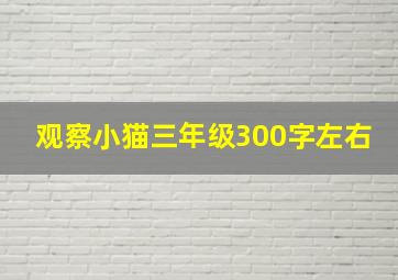 观察小猫三年级300字左右