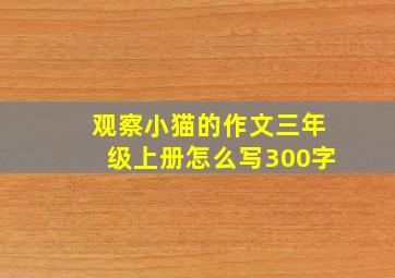 观察小猫的作文三年级上册怎么写300字