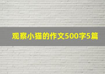 观察小猫的作文500字5篇