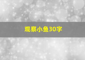 观察小鱼30字