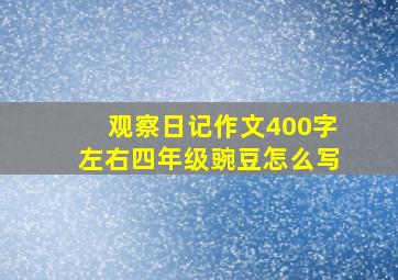 观察日记作文400字左右四年级豌豆怎么写