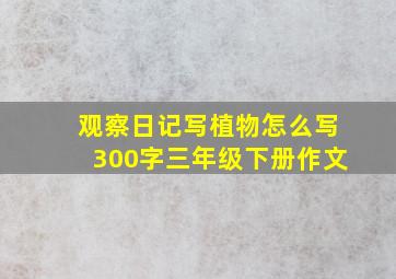 观察日记写植物怎么写300字三年级下册作文