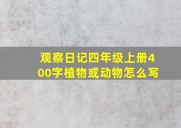 观察日记四年级上册400字植物或动物怎么写