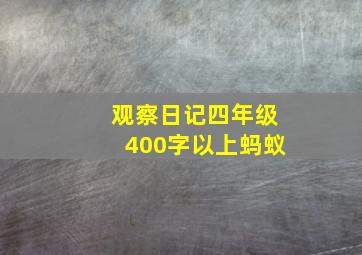 观察日记四年级400字以上蚂蚁