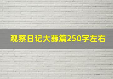 观察日记大蒜篇250字左右