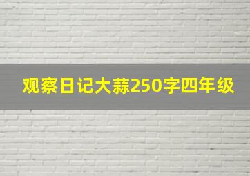 观察日记大蒜250字四年级