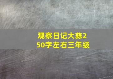 观察日记大蒜250字左右三年级