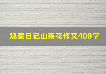 观察日记山茶花作文400字