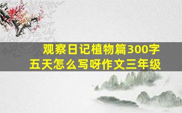 观察日记植物篇300字五天怎么写呀作文三年级