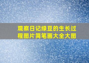 观察日记绿豆的生长过程图片简笔画大全大图