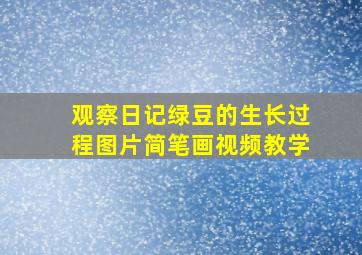 观察日记绿豆的生长过程图片简笔画视频教学