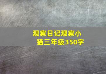 观察日记观察小猫三年级350字