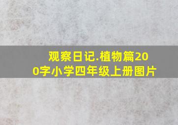 观察日记.植物篇200字小学四年级上册图片