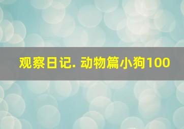 观察日记. 动物篇小狗100