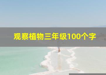 观察植物三年级100个字