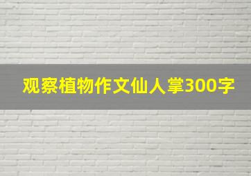 观察植物作文仙人掌300字