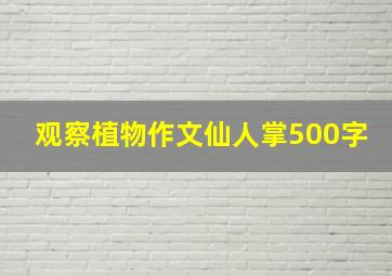 观察植物作文仙人掌500字